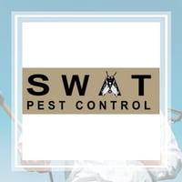 28 Best Pest Control Services In San Jose Ca Exterminators