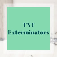 Oak Lawn Il Pest Control Exterminators Best 2021