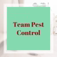 11 Best Pest Control Companies In Lake Havasu City Az Exterminators