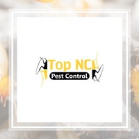 11 Best Pest Control Companies In Durham Nc Exterminators Need professional pest control in chapel hill? pest control companies in durham nc