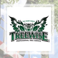 11 Best Tree Care Services In Vancouver Wa Tree Removal