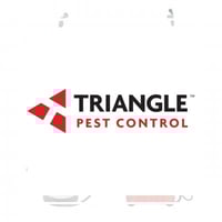 11 Best Pest Control Companies In Zebulon Nc Exterminators