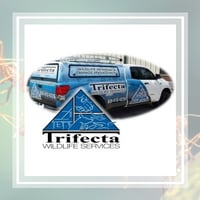 11 Best Pest Control Companies In Lexington Ky Exterminators
