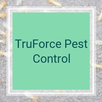 10 Best Pest Control Services In Sun City Az Exterminators