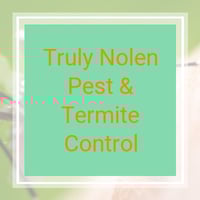11 Best Pest Control Companies In Orange Ca Exterminators