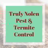 11 Best Pest Control Companies In Perris Ca Exterminators