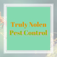 11 Best Pest Control Companies In Knoxville Tn Exterminators
