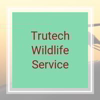 11 Best Pest Control Companies In New Haven Ct Exterminators