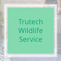 11 Best Pest Control Companies in Greensburg, PA ...
