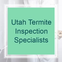 Ogden Ut Pest Control Exterminators Best 2021