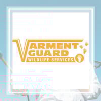 10 Best Pest Control Services In Columbus Oh Exterminators
