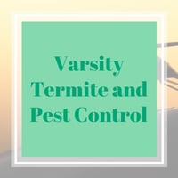 10 Best Pest Control Services In Queen Creek Az Exterminators