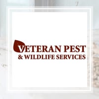10 Best Pest Control Services In Sterling Va Exterminators