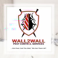 Easton, PA Pest Control | Exterminators | Best 2021
