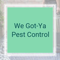 11 Best Pest Control Companies In Chula Vista Ca Exterminators