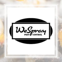 11 Best Pest Control Companies In Ogden Ut Exterminators