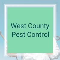 11 Best Pest Control Companies In Saint Charles Mo Exterminators