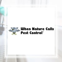 11 Best Pest Control Companies In Rockford Il Exterminators