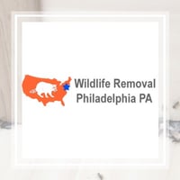 20 Best Pest Control Services In Philadelphia Pa Exterminators