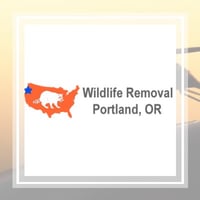 21 Best Pest Control Services In Portland Or Exterminators