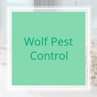 11 Best Pest Control Companies In North Charleston Sc Exterminators