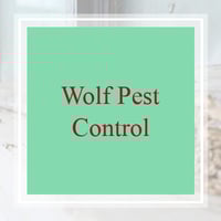 11 Best Pest Control Companies In Greenville Sc Exterminators