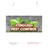 11 Best Pest Control Companies In Homestead Fl Exterminators