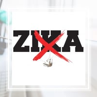 11 Best Pest Control Companies In Jupiter Fl Exterminators