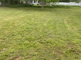 Melissa P.'s lawn