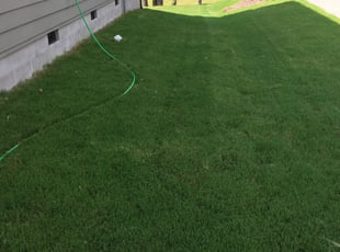 Lawn Service Connecticut