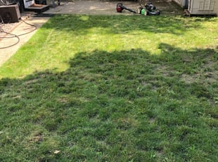 Lawn Fertilization Ct