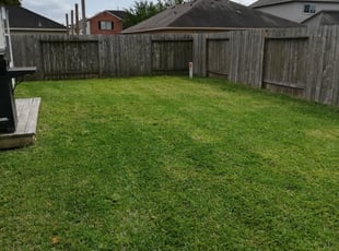 1 Belmont Nc Lawn Care Service Lawn Mowing From 19 Best 2021