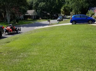 Charleston Sc Lawn Care Service Lawn Mowing From 19 Rated Best 21
