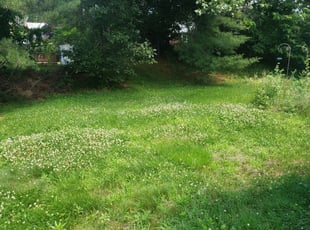 Chevy Chase, MD Lawn Care Service | Lawn Mowing from $19 | Rated Best 2021