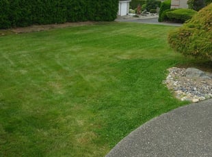 John V.'s Lawn Service service in Daryl's Lawns Solutions INC