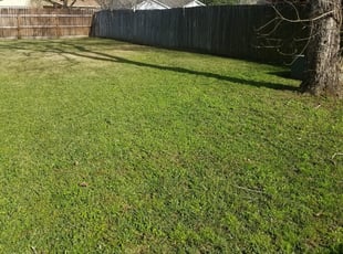 Georgetown Tx Landscaping From 29, Tcb Landscaping Georgetown Tx