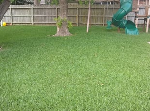 1 Hampton Va Lawn Care Service Lawn Mowing From 19 Best 2021