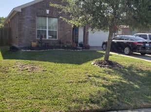 1 Hampton Va Lawn Care Service Lawn Mowing From 19 Best 2021