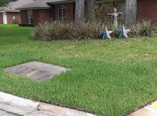 Jacksonville Fl Landscaping From 29 1 Landscapers Best Of 2021