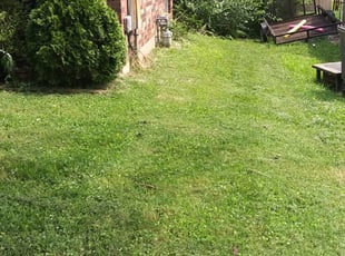 1 League City Tx Lawn Care Service Lawn Mowing From 19 Best 2021 1 League City Tx Lawn Care Service Lawn Mowing From 19 Best 2021