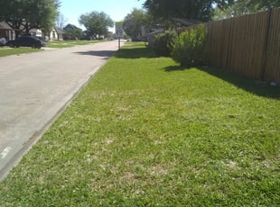 #1 Mechanicsville, VA Lawn Care Service | Lawn Mowing from ...
