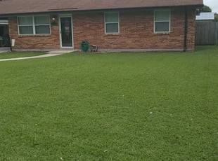 metairie_979091