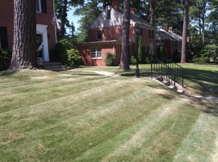 Richmond Va Landscaping From 29 1 Landscapers Best Of 2021 Richmond Va Landscaping From 29 1 Landscapers Best Of 2021