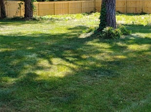 37++ Lawn care in mechanicsville information