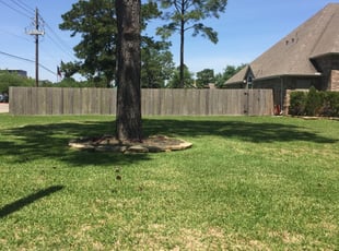 1 Rock Hill Sc Lawn Care Service Lawn Mowing From 19 Best 2021 1 Rock Hill Sc Lawn Care Service Lawn Mowing From 19 Best 2021