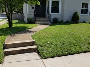 total lawn care winder ga