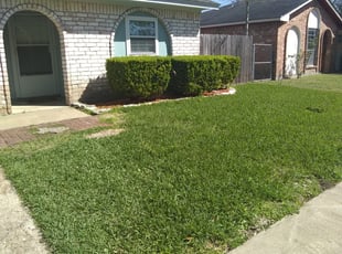1 Valrico Fl Lawn Care Service Lawn Mowing From 19 Best 2021