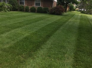 1 Wichita Ks Lawn Care Service Lawn Mowing From 19 Best 2021