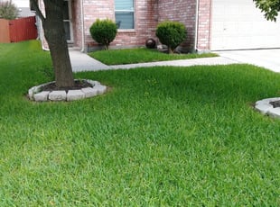 Wilmington, DE Lawn Care Service | Lawn Mowing from $19 ...