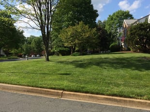 Average Monthly Cost Of Yard Maintenance